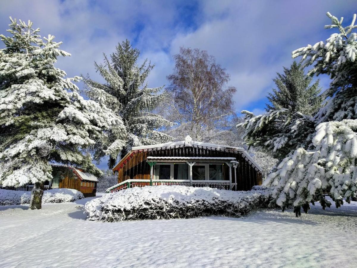 Chalets Des Trois Hetres Plombières-les-Bains Dış mekan fotoğraf